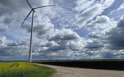 Novelle des Sektoralen Raumordnungsprogramms über die Windkraftnutzung in NÖ rechtskräftig